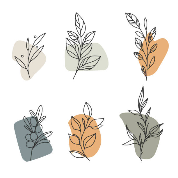 Aesthetic plant elements, leaves and branches. Template vector art illustration