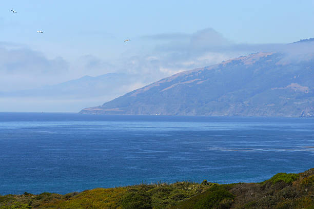 Küsten-blau – Foto