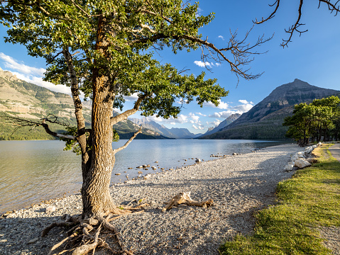 Waterton Lake in Waterton Lakes National Park at Sunset, Alberta, Canada