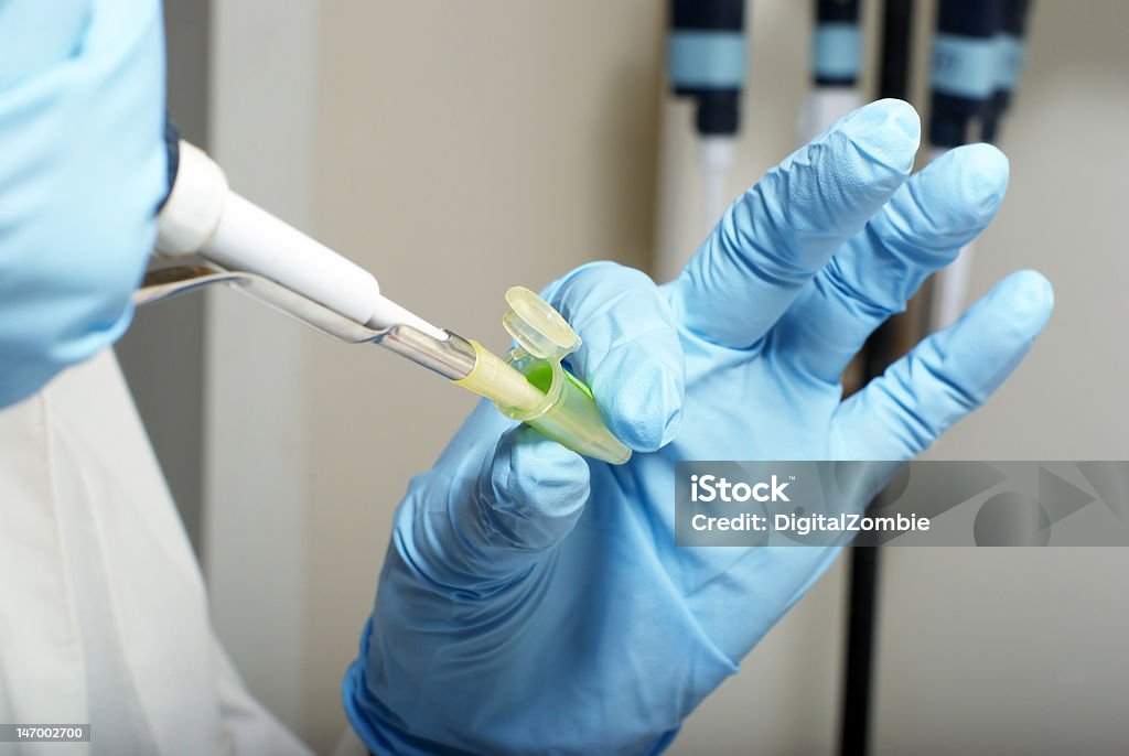 Laboratory hands in gloves with sampler Laboratory hands in gloves with sampler and test tube Biology Stock Photo