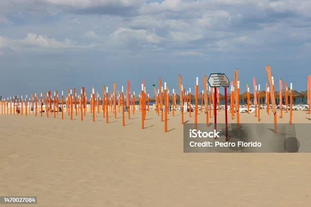 Sticks Stock Photo - Download Image Now - Beach, Beach Umbrella, Color Image