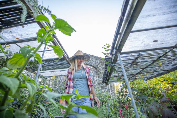 istock living a sustainable and vegan lifestyle 1470027123