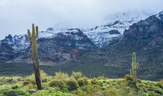 A break in a winter storm reveals a lush landscape below the The Superstition Mountains with cholla and saguaro cacti