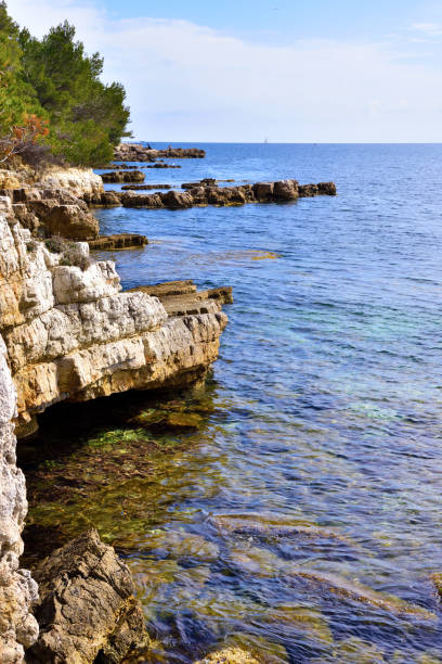 istock Island Sainte-Marguerite 1470029600
