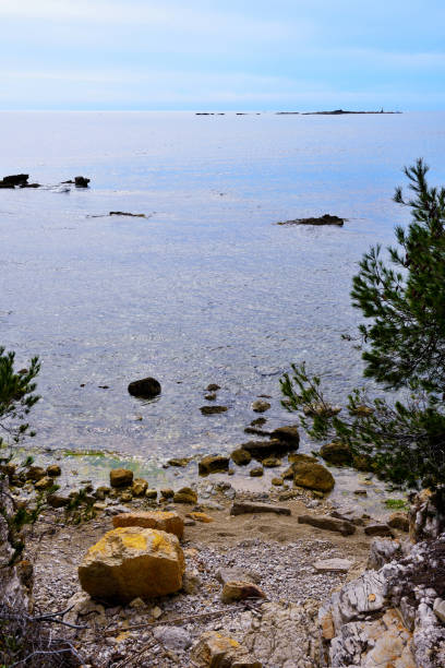 istock Island Sainte-Marguerite 1470029606