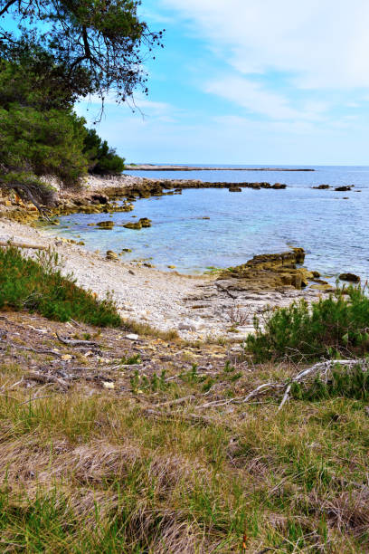 istock Island Sainte-Marguerite 1470030714