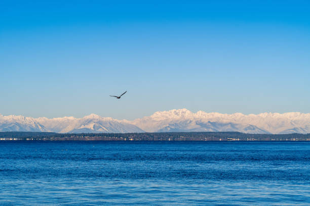 A beautiful Winter sunrise with the Olympic Mountains in the background.