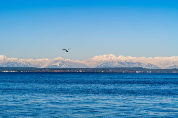 A beautiful Winter sunrise with the Olympic Mountains in the background.