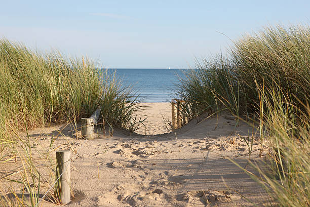 acceso a la playa - footprint sand sea beach fotografías e imágenes de stock