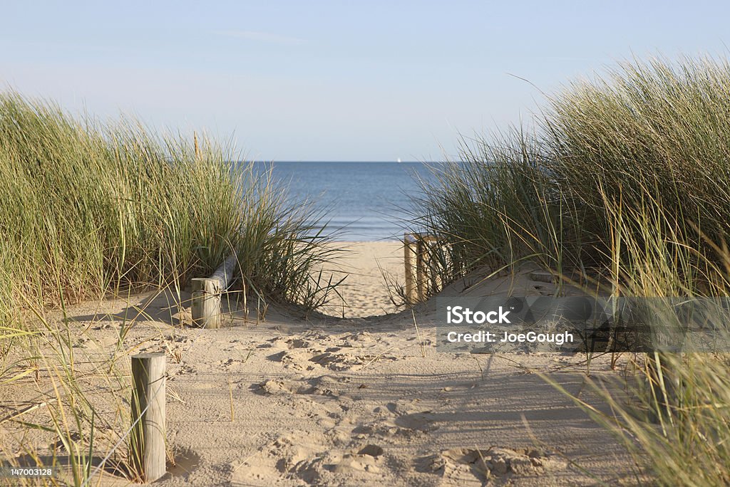 Sandy pathway accessing a beach Footpath through sand dunes leading to the beach. Sandbanks beach, Poole, Dorset. Beach Stock Photo