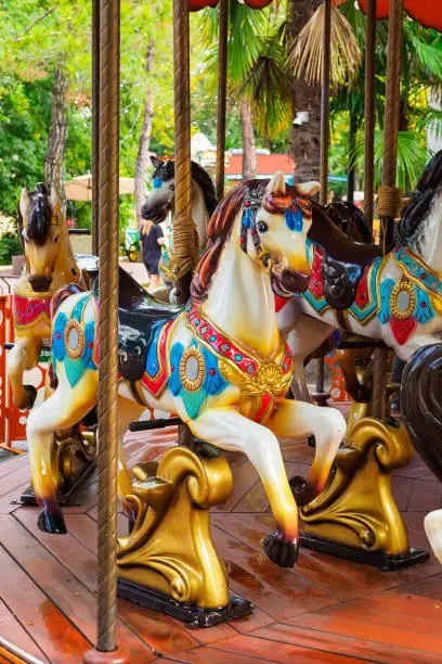 Photo of carousel with horses in the amusement park