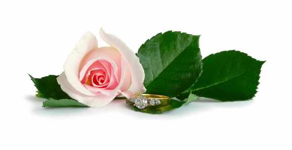 Diamond ring and pink rose arranged horizontally with green leaves isolated on a white background.
