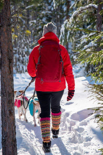 femme randonnant en hiver en forêt - scandinavian cross country ski ski nordic countries photos et images de collection
