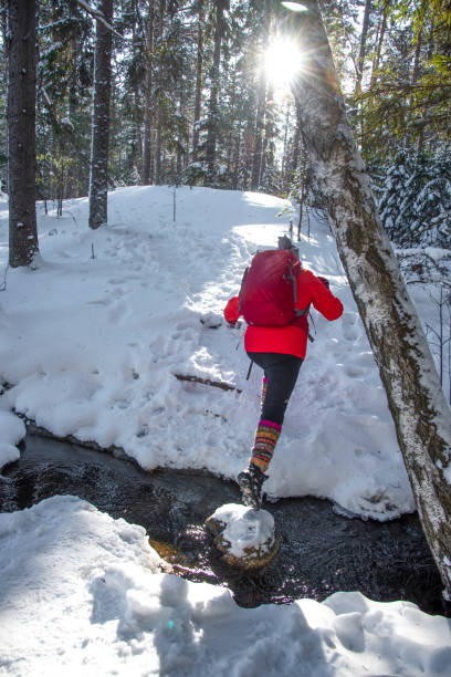 istock Woman hiking in winter in forest 1470037310