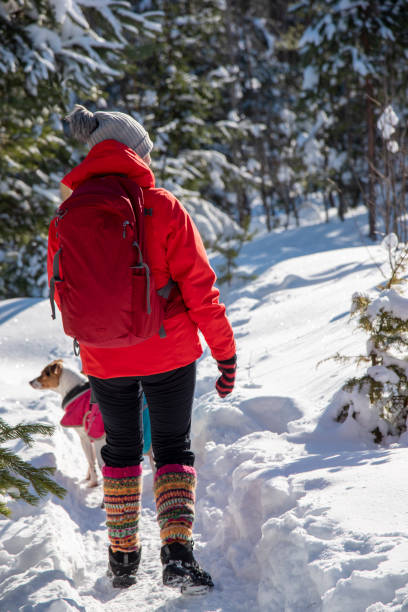 femme randonnant en hiver en forêt - scandinavian cross country ski ski nordic countries photos et images de collection