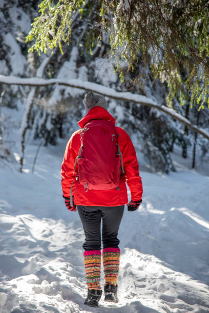 femme randonnant en hiver en forêt - scandinavian cross country ski ski nordic countries photos et images de collection