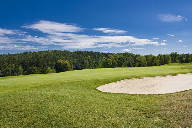 istock green of a beautiful golf course 147003829
