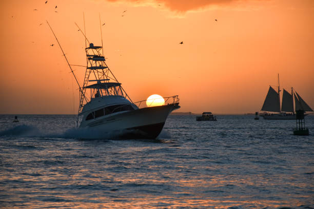 istock Boat bringing the sunset to the harbor 1470038597