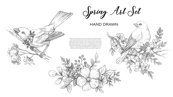 Beautiful spring art set with birds and flowers hand drawn line.