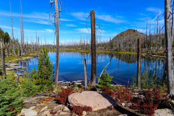 Mountain biking around Waldo Lake, Oregon