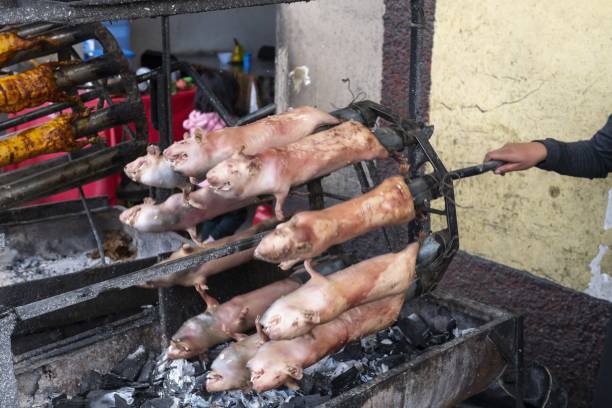 Colta, Ecuador, October 29, 2022: Guinea pigs are being prepared on the grill carousel. Guinea pig is an Ecuadorian and Peruvian culinary specialty.