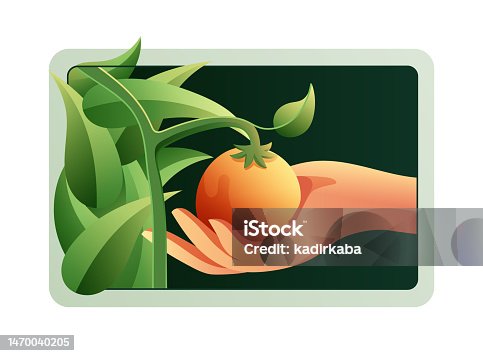 istock Vector illustration of organic farming, fresh fruits and vegetables from the branch, nature, freshness. 1470040205