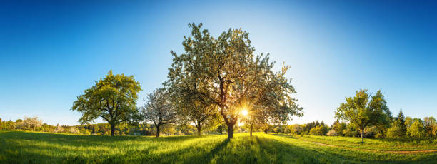 Idyllic rural landscape with clear blue sky