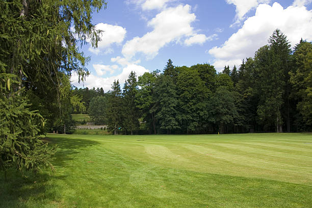istock fairway of a beautiful golf course 147004213