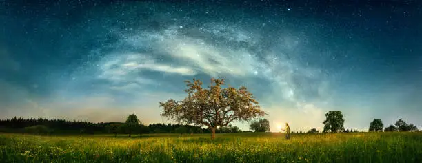 The Milky Way and clouds creating an arch shape above a beautiful tree on a blossoming meadow, a gorgeous starry night panoramic landscape