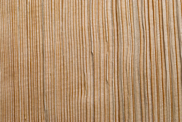 木製の背景 ストックフォト