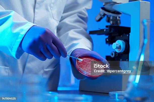 Scientist Examining Culture Sample Stock Photo - Download Image Now - Biotechnology, Blood, Blue