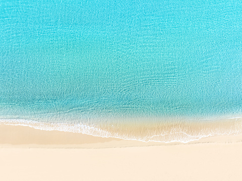 Wide horizontal design of tropical background split by sea water and beach