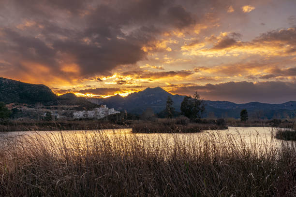 sunset in the marsh, with mountains in the background - swamp moody sky marsh standing water imagens e fotografias de stock