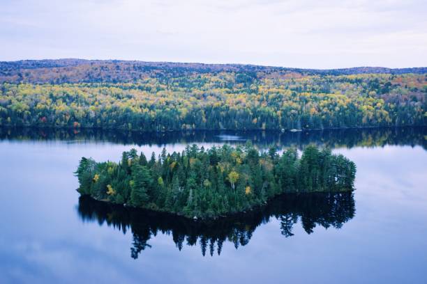 istock Autumn forest and lake in Algonquin Park 1470047215