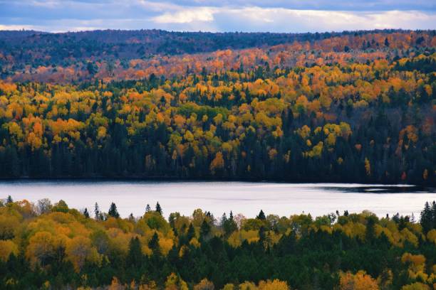 istock Autumn forest and lake in Algonquin Park 1470047282