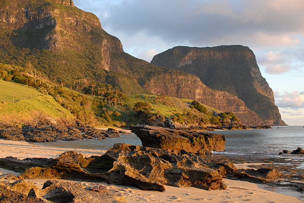 a praia - lord howe island - fotografias e filmes do acervo