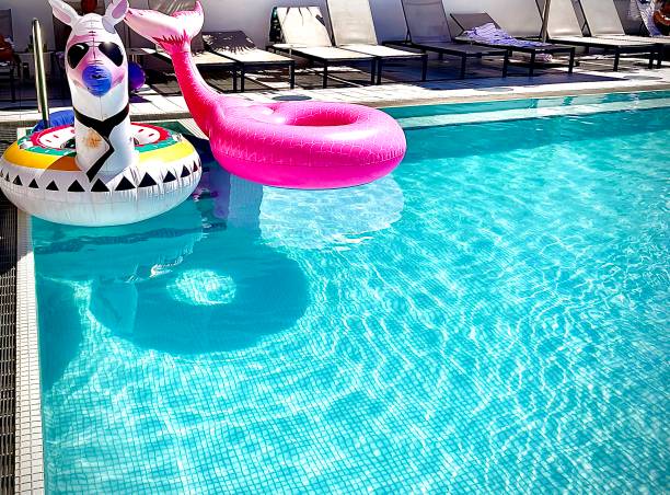 istock Sun Fun and Playful Toys 1470048934