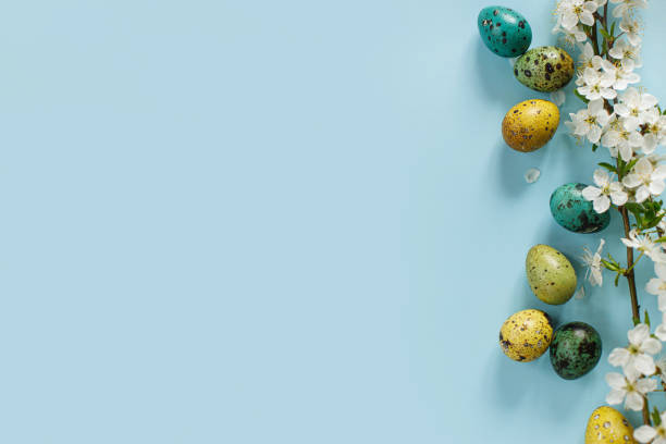 istock Happy Easter! Easter stylish eggs and blooming spring flowers on blue background, space for text. Modern greeting card or banner. Natural painted colorful quail eggs and cherry blossom 1470050084