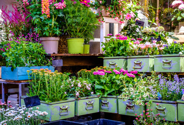 istock flowers at a floristry - austria 1470050515