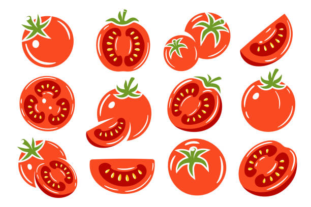 Red tomatoes collection isolated on white background Red tomatoes collection isolated on white background. Vector illustration tomato slice stock illustrations