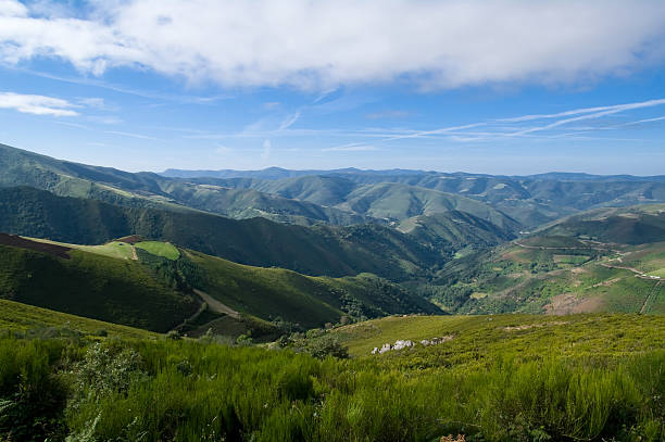 The Sierra de Ancares is a mountain range in Spain, extending in a south-westerly direction from the western end of the Cantabrian Mountains, in Asturias.