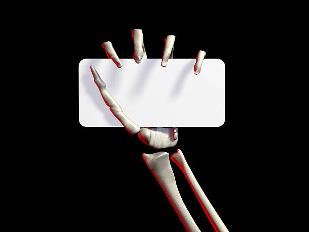 skeletons hand holding a business card on black stock photo