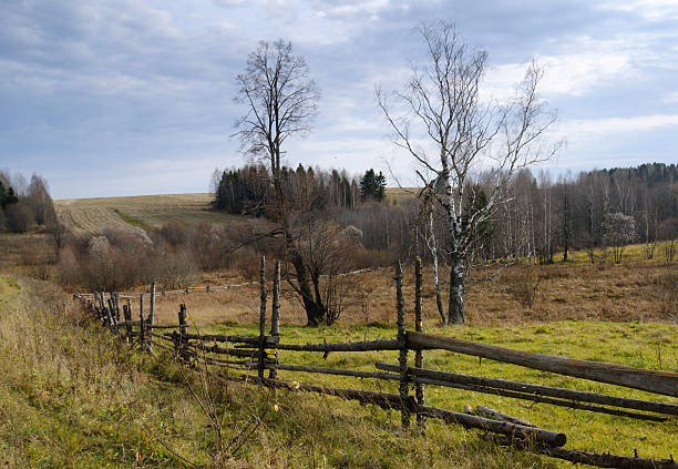 istock Autumn landscape of Central Russia 147005378