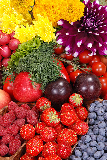 istock Dacha Harvest - fruit, berries, vegetables and flowers 147005382