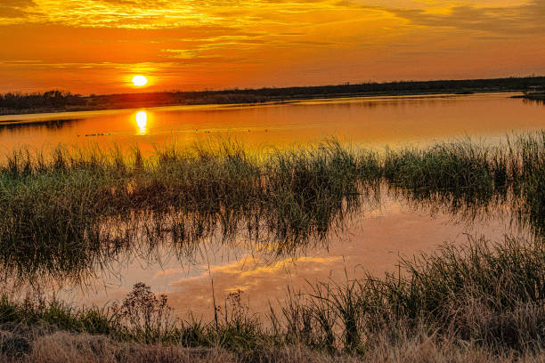 istock Sunset reflects in Lake with reeds 1470054076