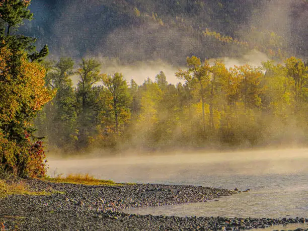 Morning mist rises  over Autumn foliage surrounding Whiteswan Lake BC  in a mystical atmosphere.