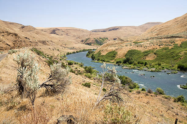 Deschutes River stock photo