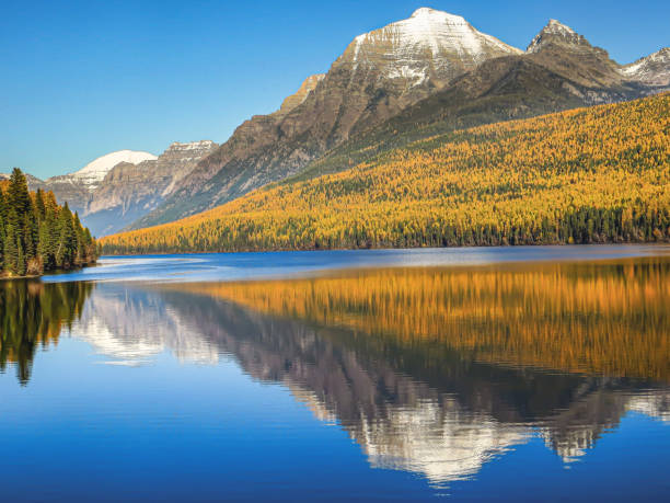 istock Snow capped peaks with fall foliage reflect in a mirrorlike lake 1470055550