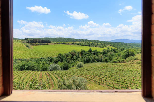 istock Castellina in Chianti vineyards from window 1470060887