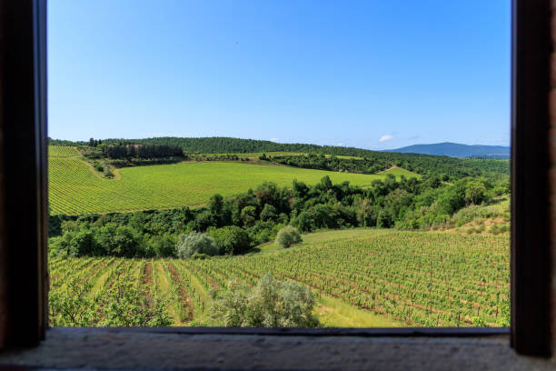 istock Castellina in Chianti vineyards from window 1470060892